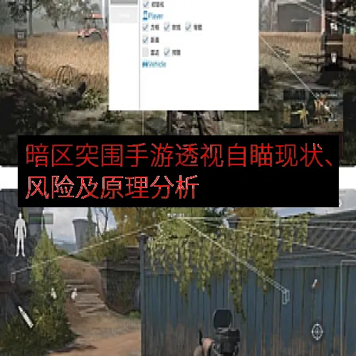 暗区突围手游透视自瞄现状、风险及原理分析